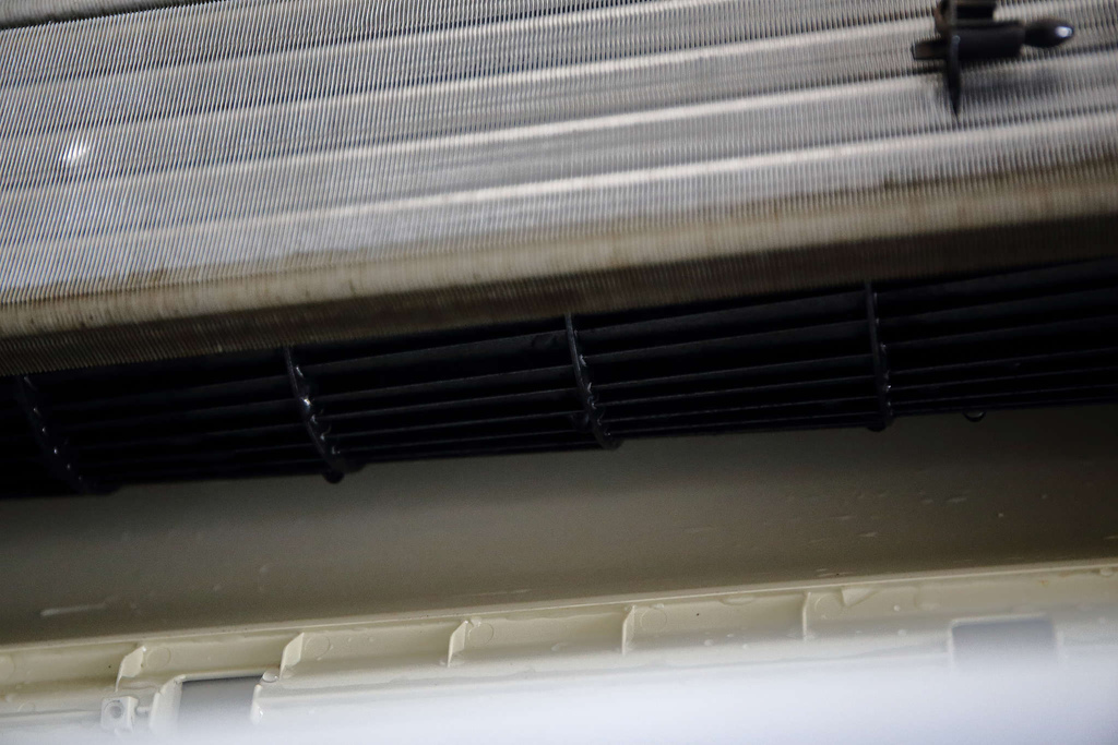 1502511776-3421245149_l.jpg?v=1502511818