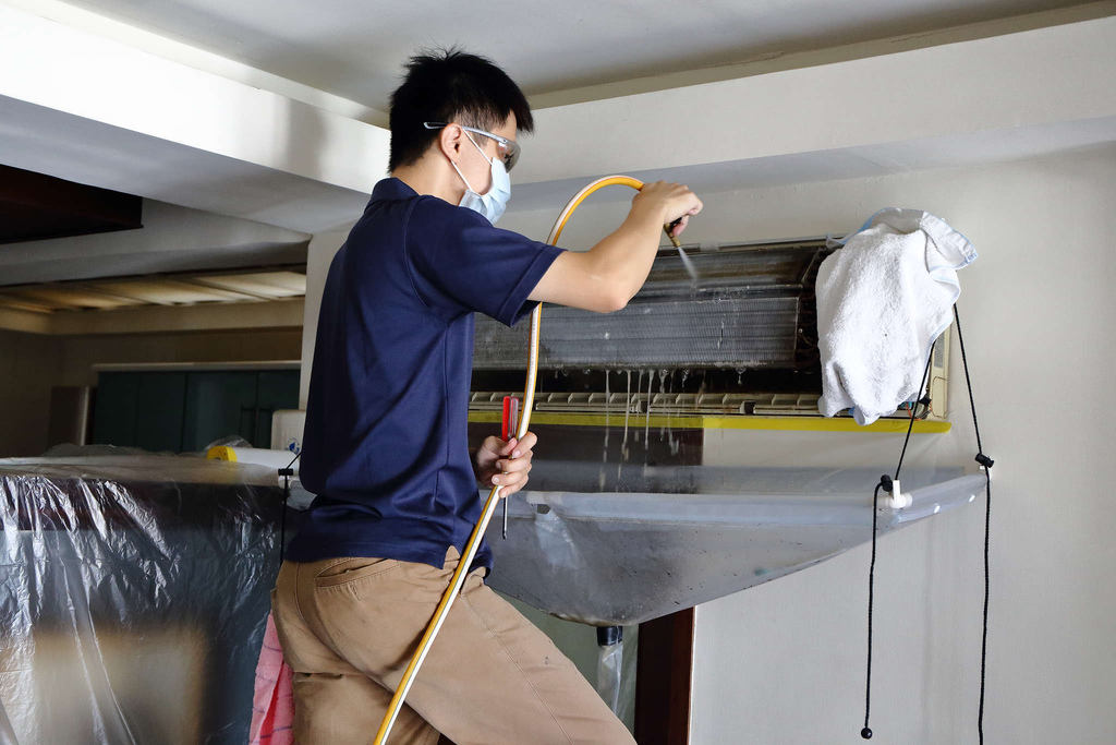 1502511767-702712113_l.jpg?v=1502511818