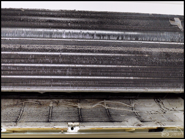 1502206297-219674091.jpg?v=1502206345