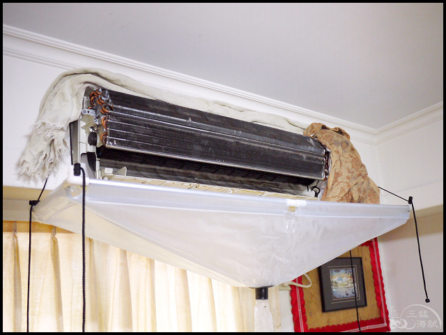 1502206302-3425111032.jpg?v=1502206345