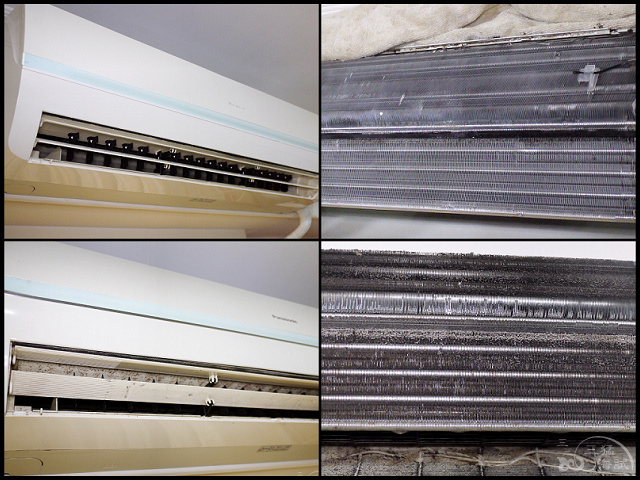 1502207054-598898534.jpg?v=1502207056