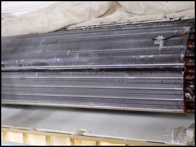 1502206306-2616035851.jpg?v=1502206345