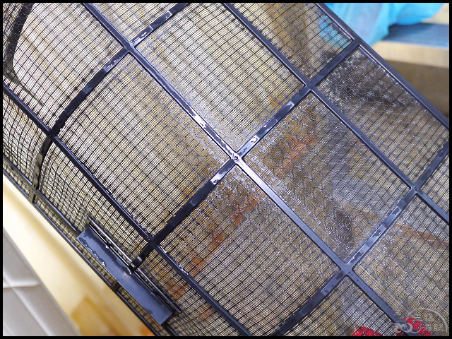 1502206323-185020462.jpg?v=1502206345