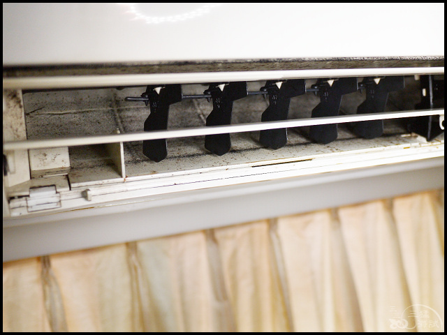 1502206287-1781857362.jpg?v=1502206344