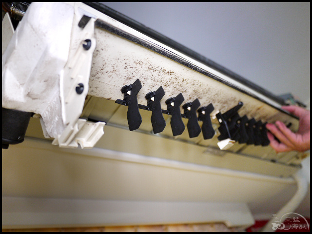 1502206295-3520753541.jpg?v=1502206345