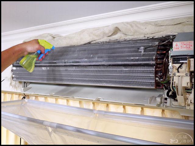 1502206305-88716009.jpg?v=1502206345