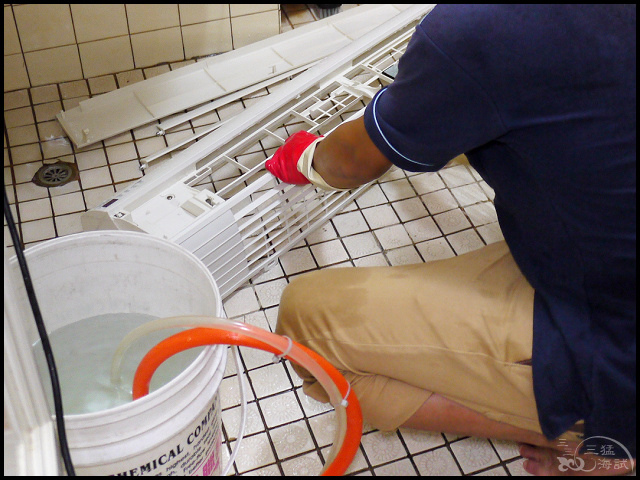 1502206314-4143282222.jpg?v=1502206345