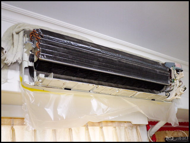 1502206298-1013272694.jpg?v=1502206345