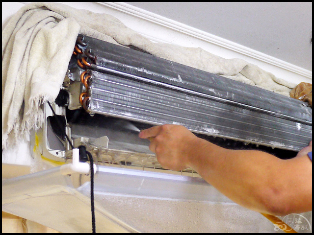 1502206310-3125214597.jpg?v=1502206345