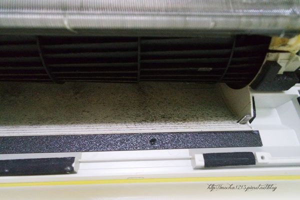 66496-1499665503-2802555637_n.jpg?v=1499665522