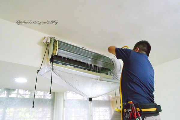 66496-1499665508-2160573026_n.jpg?v=1499665522