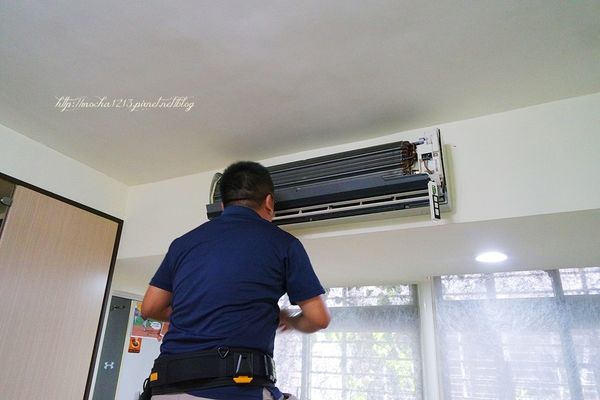 66496-1499665498-3841808104_n.jpg?v=1499665522