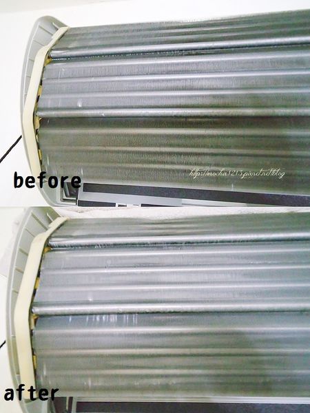 66496-1499665492-2220983718_n.jpg?v=1499665522