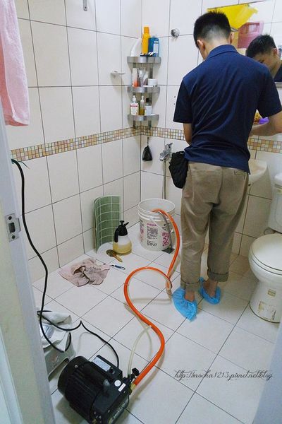 66496-1499665500-665697065_n.jpg?v=1499665522