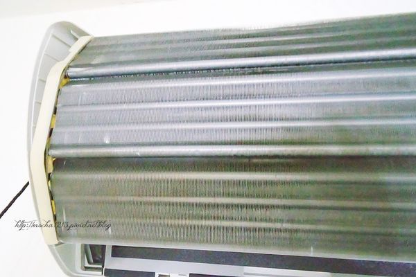 66496-1499665503-725827627_n.jpg?v=1499665522