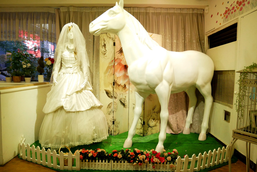 35067049413_b49cafc6e1_b.jpg?v=pixnet-flickr-app-version