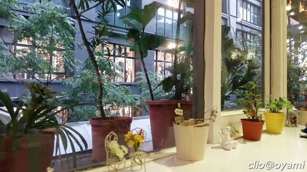 66504-1501282574-1679119406_n.jpg?v=1501288182