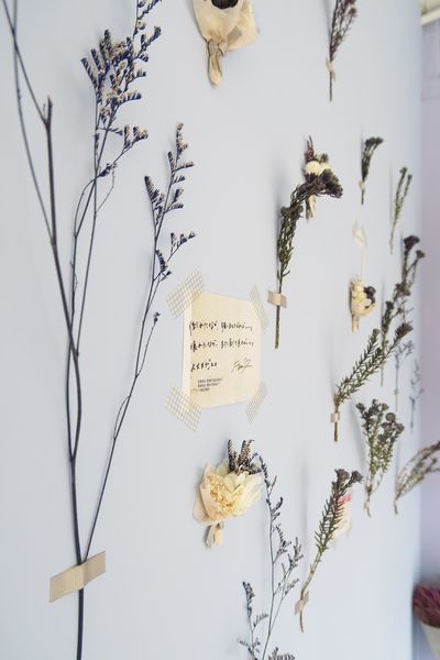 66687-1500736112-2085445370_n.jpg?v=1500736423