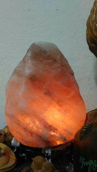 1500991981-3115413773_n.jpg?v=1500991995