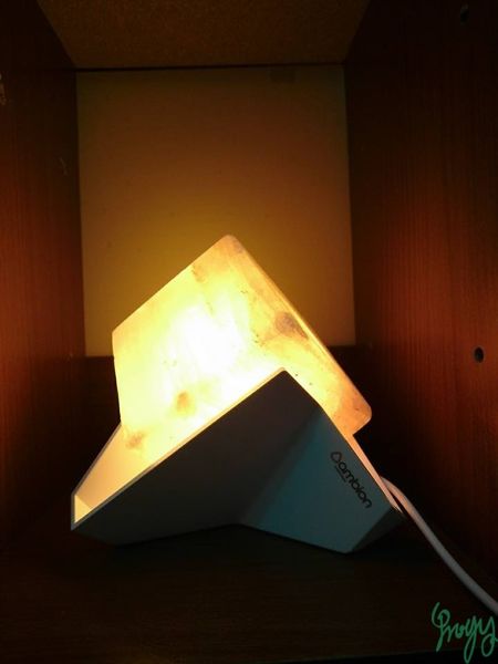 1500991981-714894503_n.jpg?v=1500991995