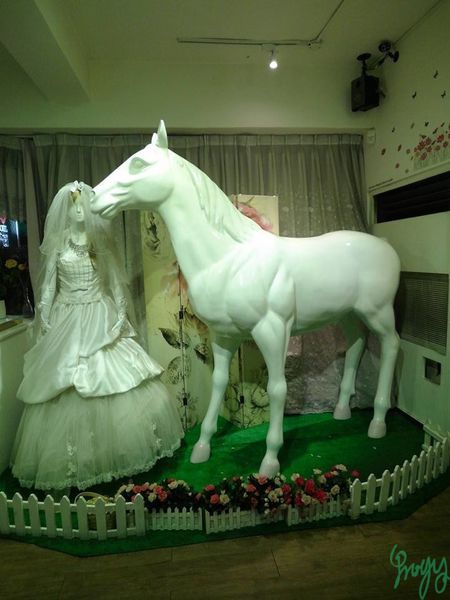 1501419346-3407914532_n.jpg?v=1501419367