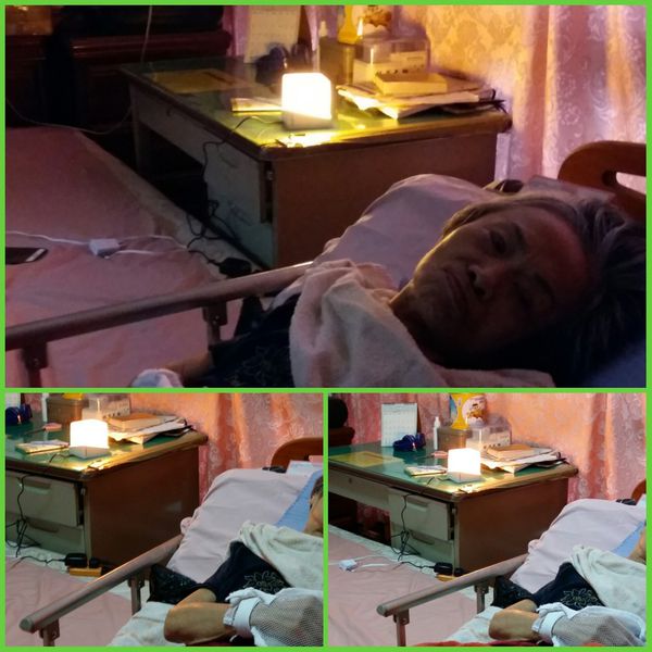 66806-1500765002-775662520_n.jpg?v=1500765013