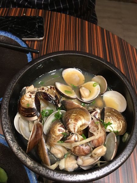 1501945103-664450006_n.jpg?v=1501946852