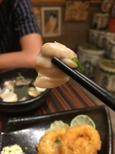 1501945103-4213335446_n.jpg?v=1501946852