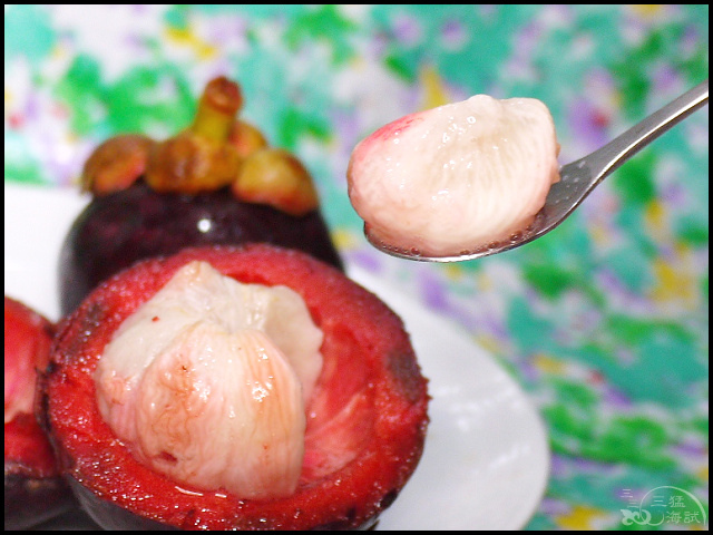 67032-1499699071-1015416435.jpg?v=1499699107