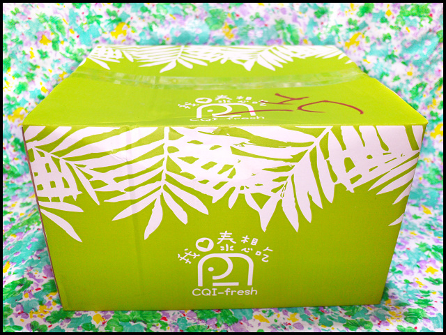 67032-1499699047-56876096.jpg?v=1499699107