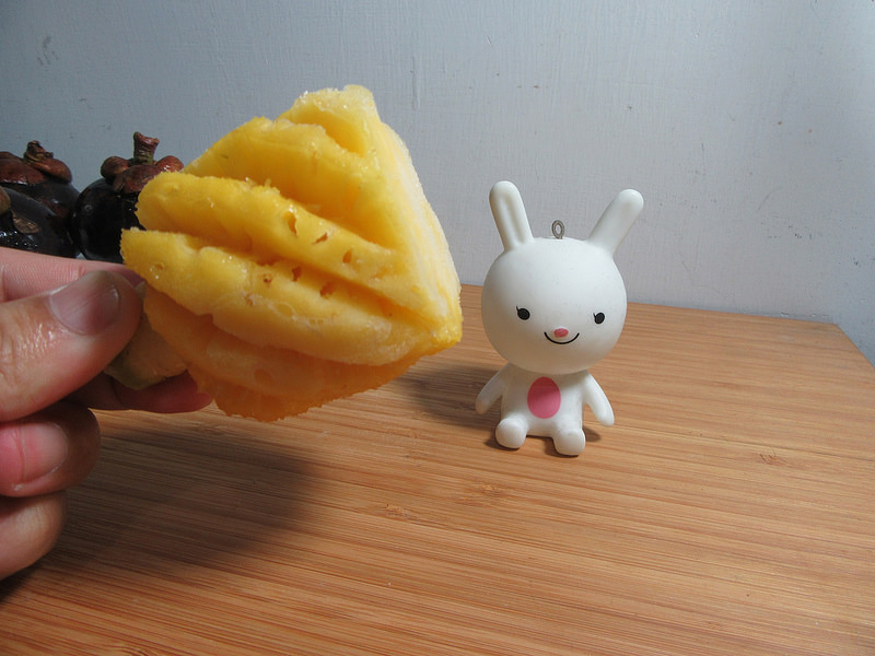 35875092422_c9e88d25e9_c.jpg?v=pixnet-flickr-app-version