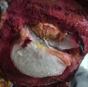 35988713082_42cf813a56.jpg?v=pixnet-flickr-app-version