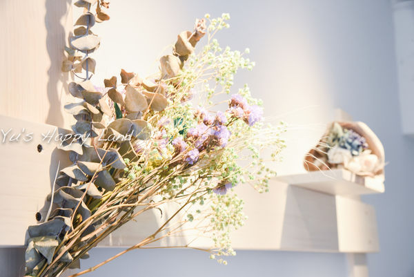 1501504459-3980130461_n.jpg?v=1501504488