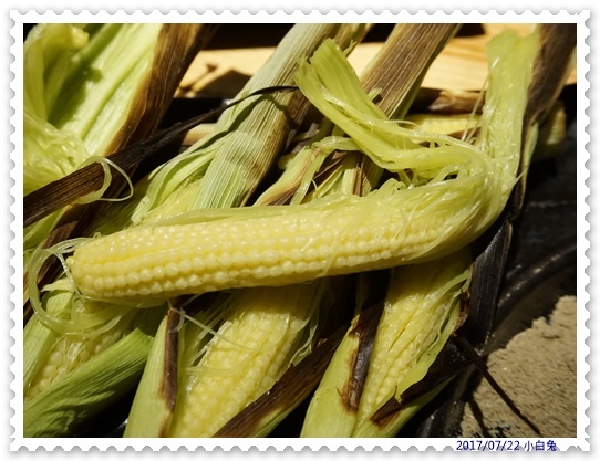 67329-1501022101-828597431.jpg?v=1501022135