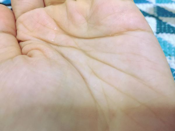 67355-1500124488-3037066254_n.jpg?v=1500124489