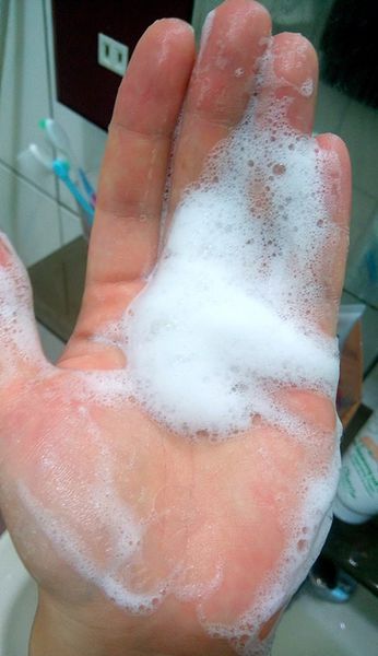 1501553871-1858261434_n.jpg?v=1501553898