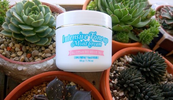 1501553836-3104321219_n.jpg?v=1501553897