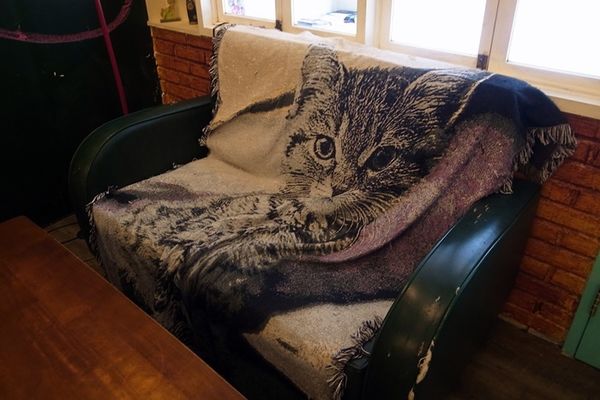 1500292141-550596123_n.jpg?v=1500292219