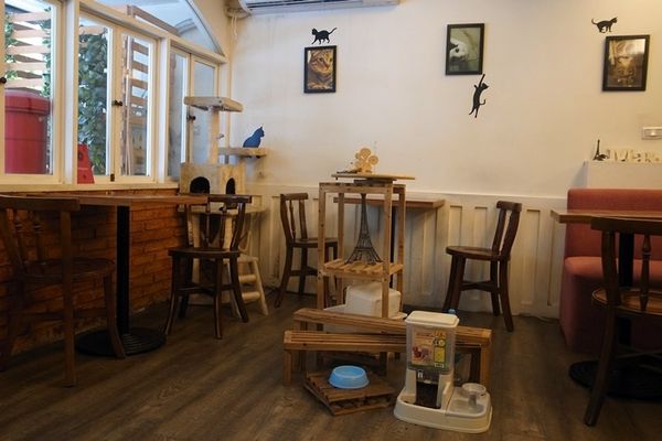 1500292144-2896883956_n.jpg?v=1500292219