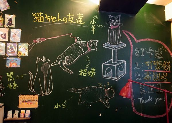 1500292139-833595085_n.jpg?v=1500292219