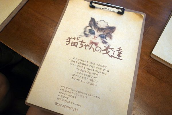 1500292145-4069499783_n.jpg?v=1500292219