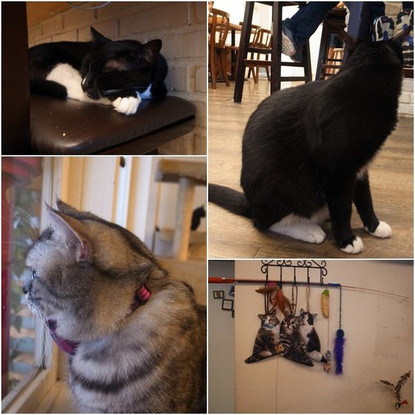 1500292133-2824634868_n.jpg?v=1500292219