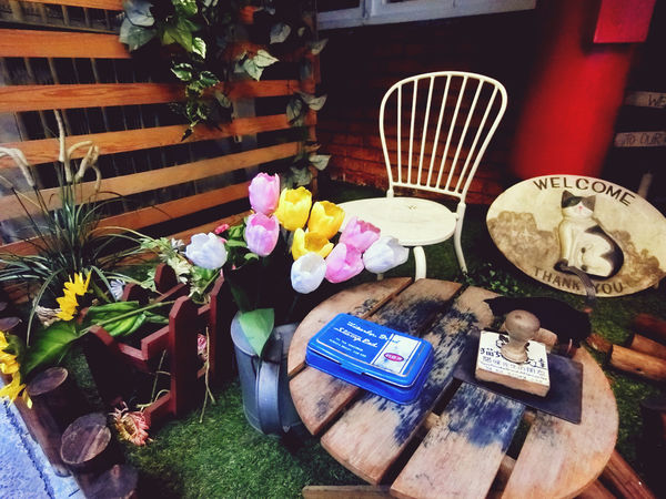 1499947041-3601276090_n.jpg?v=1499962368