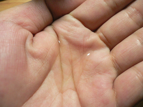 1501595888-4163345531_n.jpg?v=1501595903