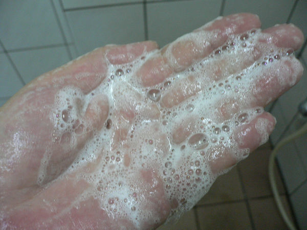 1501595883-2730244453_n.jpg?v=1501595902