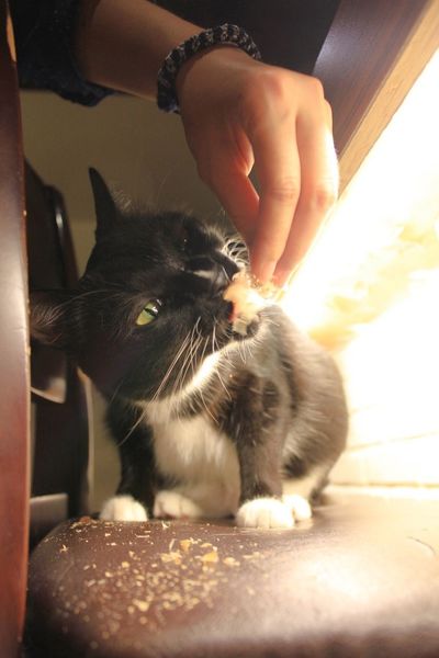 1502287816-3435088448_n.jpg?v=1502287817