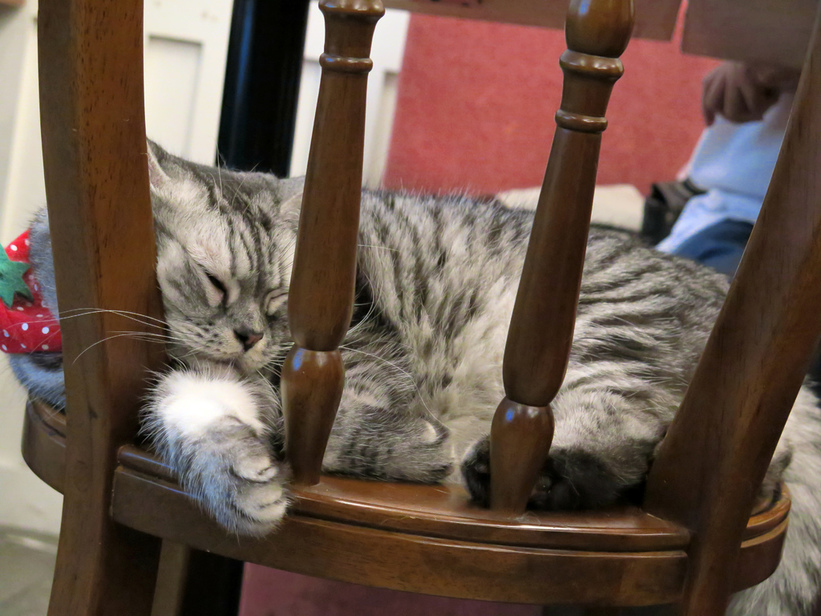 1501304761-2292008477_l.jpg?v=1501304952