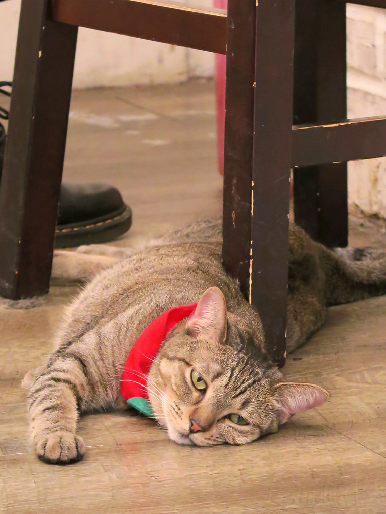 1501304833-85663511_l.jpg?v=1501304952