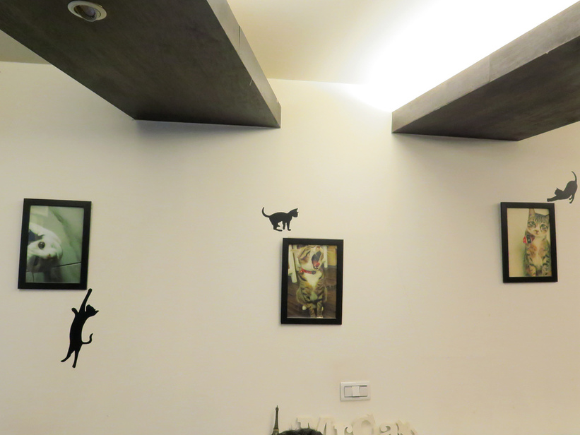 1501303658-1639956472_l.jpg?v=1501304951