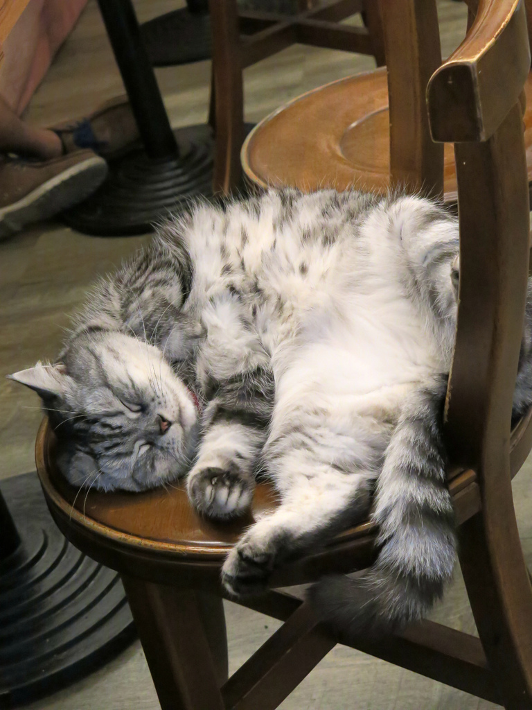 1501304763-3031140017_l.jpg?v=1501304952